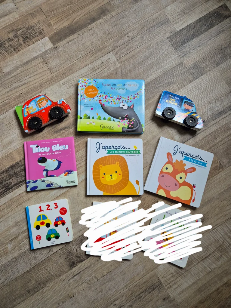 Lot livre enfant 